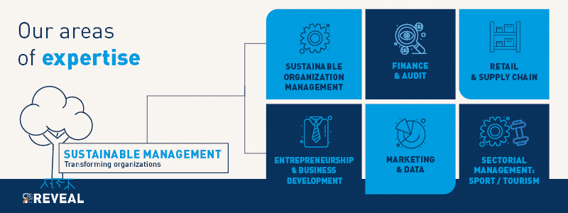 Areas of Expertise - Clermont School of Business