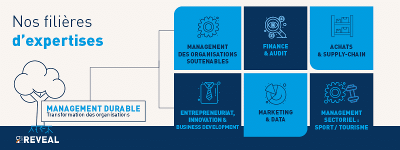 Nos filières d'expertise - Clermont School of Business